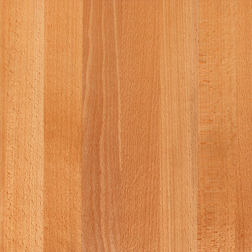 Beech natural lacquered